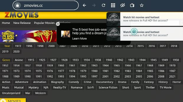 Stream ZMovies Website On FireStick Step 12