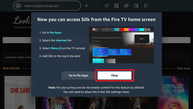 Stream Look Movie Website On FireStick Step 13