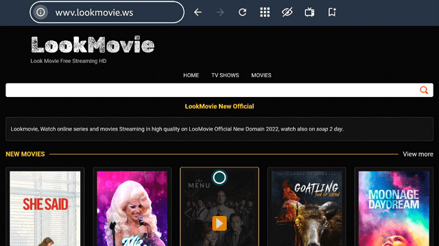Stream Look Movie Website On FireStick Step 14