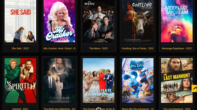 Stream Look Movie Website On FireStick Step 15