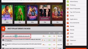 Use WeTorrent (6)