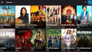 Install Bee TV on your Fire TV Stick 9