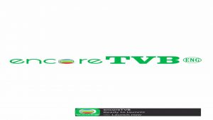 Install EncoreTVB App on Fire TV Stick 16