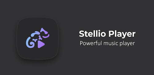 Install Stellio Player APK on Firestick Step 15