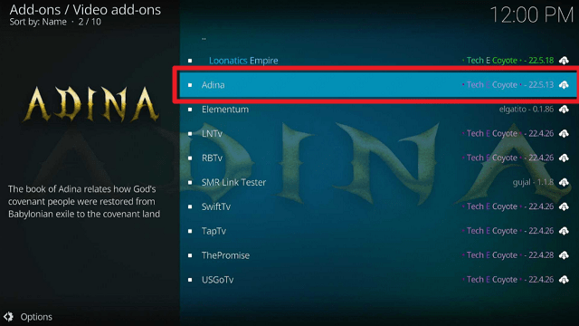 Install Adina Kodi Addon on Firestick step 23