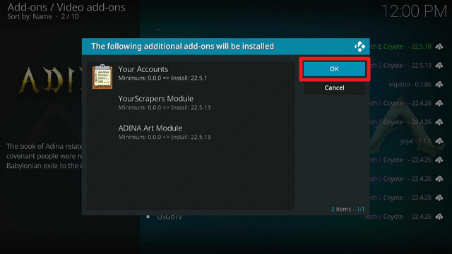 Install Adina Kodi Addon on Firestick step 25