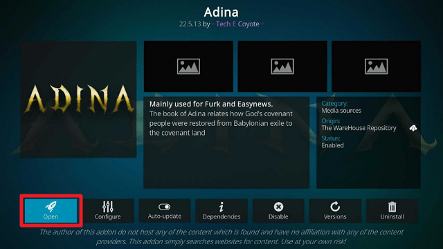 Install Adina Kodi Addon on Firestick step 27