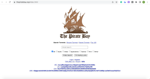 pirate bay