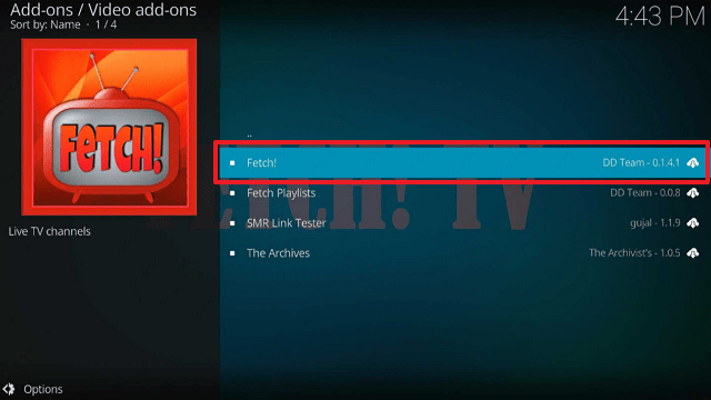Install Fetch Kodi Addon on Firestick step 19