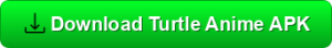 turtle anime