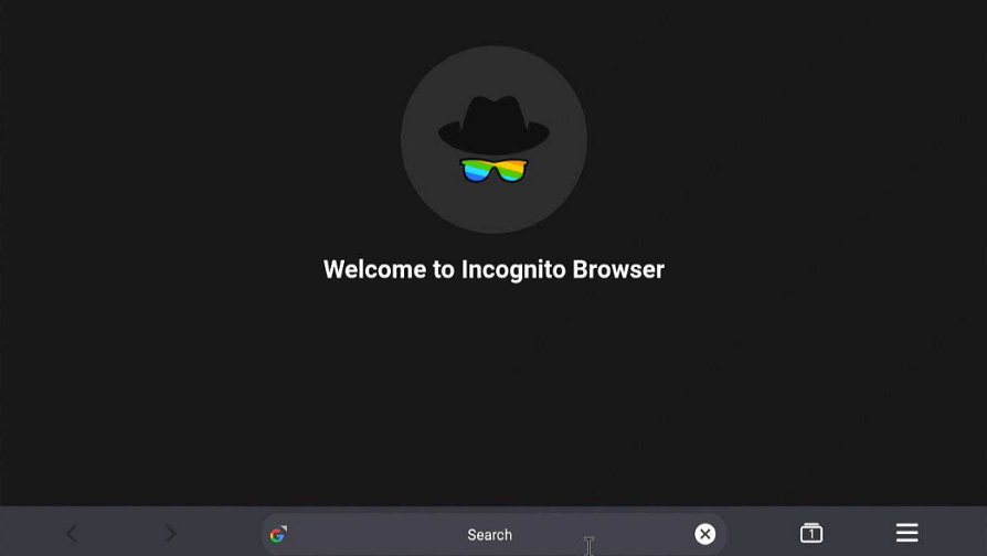 Incognito Browser